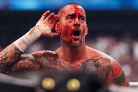 cm punk wwe return news