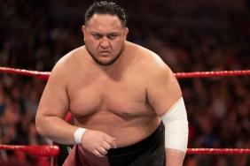 wwe releases Samoa Joe