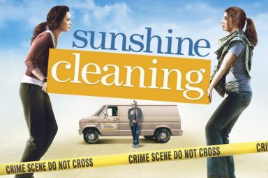 Sunshine Cleaning (2008)